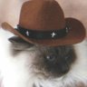 CYuwan55's profile picture