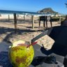 Thiago Leal profil fotoğrafı