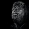 Quadri's profile picture