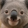Profilbild von ODP-man