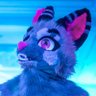 Profilbild von Bowler :3
