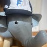 あふりかぞう 的头像