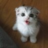 กินไข่ต้มวันละ6ฟอง's profile picture