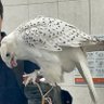 Фото профиля 🪽タカちゃん_MUZE
