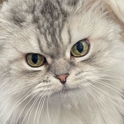 cnt027's profile picture