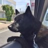 きた👬🕺🏻👯(ハードオフ永田さん応援&ゲーム垢)'s profile picture