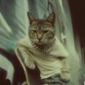 Chat Vapaslfaire profil fotoğrafı