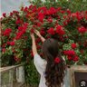Фото профиля افاق الفكر