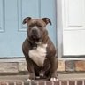randy martinez's profile picture