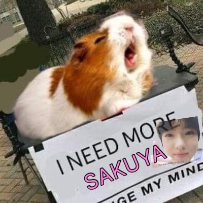 못참이's profile picture