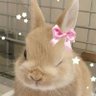 Odette R.'s profile picture