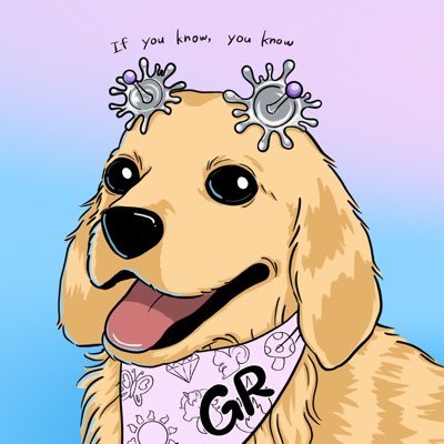 gr_alphaz's profile picture