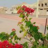 ||▪︎ سهل ▪︎|| profil fotoğrafı