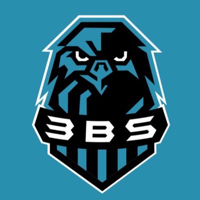 3BS_FC1's profile picture