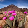 Фото профиля Realos Ten