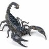 Arachnid profil fotoğrafı