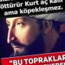 bayburtlu's profile picture