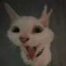 Jaybunny's profile picture