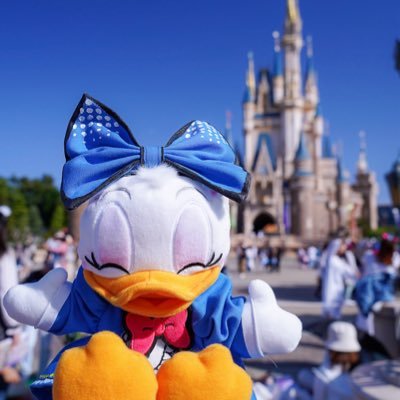 Moti's profile picture