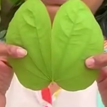 KachnarK's profile picture
