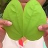 Happy_Titis🦋's profile picture