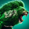 سالم احمد يحي 的头像