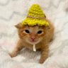 Фото профиля にみ