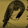 Drinre Drinre 的头像