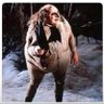 Vista's profile picture