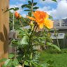 Фото профиля Magrat68