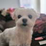 Laura_Lua TH's profile picture