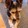 Ricky Tricks 的头像