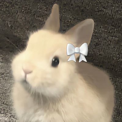Mayu`'s profile picture