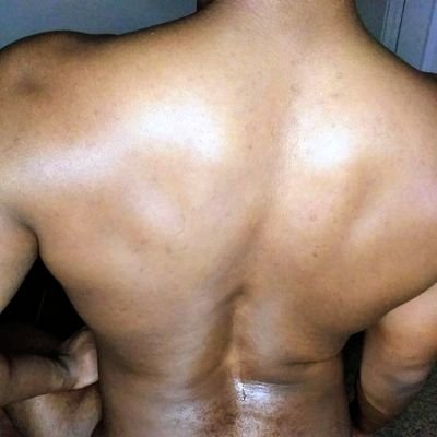 sterling_pup's profile picture