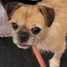 Jill's profile picture
