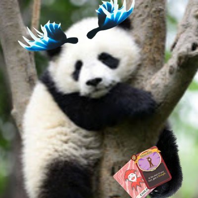 rndThursday's profile picture
