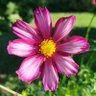 IsprovocirAna profil fotoğrafı