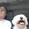 Fergal O Shea's profile picture