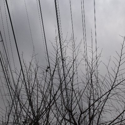 2tsuji's profile picture