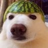 Rémy's profile picture