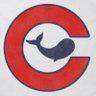 Chicago Whales©️ profil fotoğrafı