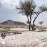 هادي القحطاني 的头像