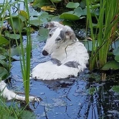clairvoyan7's profile picture