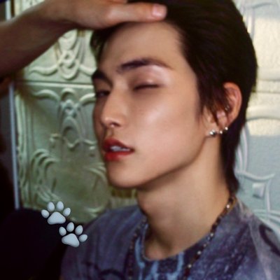 starlovehani's profile picture