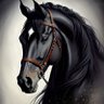 أمير الشامي BTC's profile picture