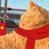 可爱猫猫 profil fotoğrafı