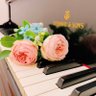 Miho Piano profil fotoğrafı