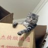 惡魔😈 的头像