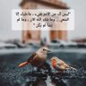 Фото профиля Mohamed Fouly