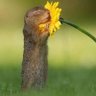 Александр profil fotoğrafı